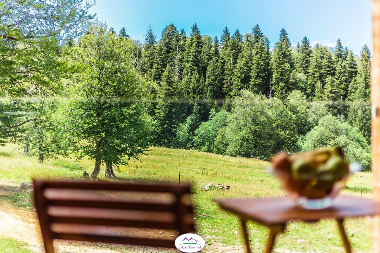 Inkinn Bakuriani The Valley Екстер'єр фото